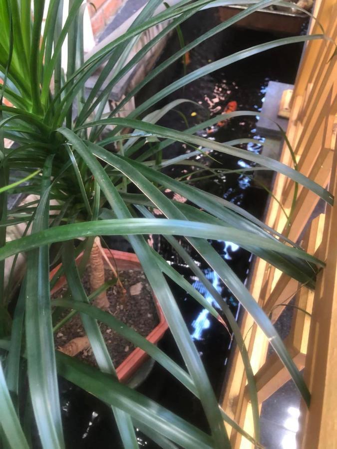 Homestay Q' & Garden Hue