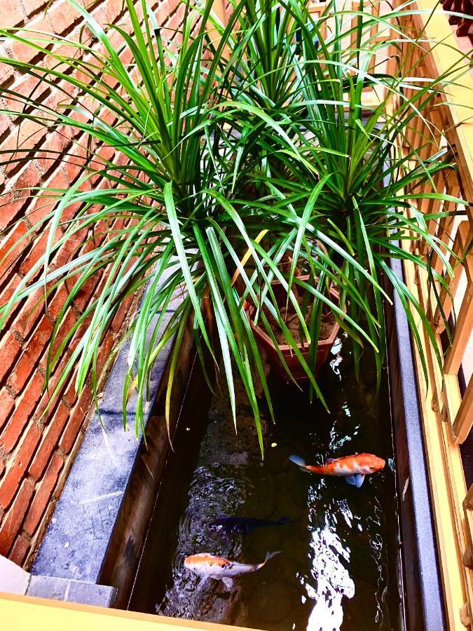 Q' & Garden Homestay Hue