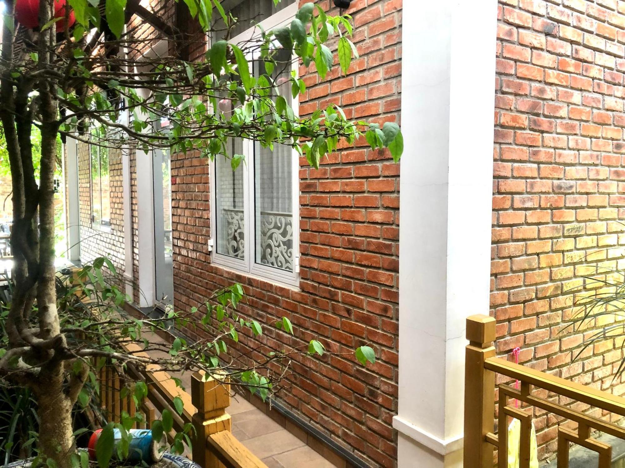 Q' & Garden Hue